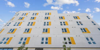 The Jayne Gallery 13