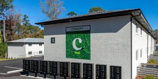 Canopy Gallery 19