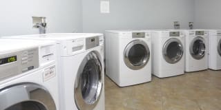 White Pines Gallery 12