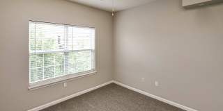 Autumn Grove Gallery 38