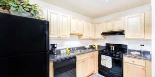 Ashton Heights Gallery 3