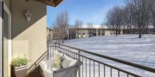 Shadow Hills Gallery 8