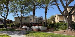 2297 Treetop Lane Gallery 43