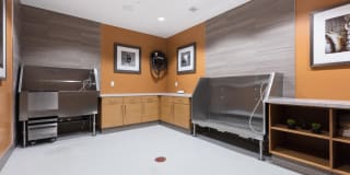 The Standard The Standard Gallery 15