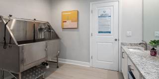 Arcadia Creekside Gallery 43