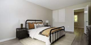 Rosen at North Hills Gallery 4