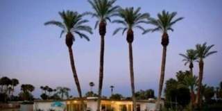 37641 PEACOCK Cir Gallery 7