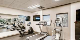 The Harlow Gallery 38