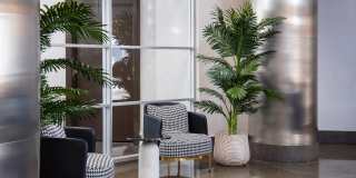 Rhode Island Row Gallery 21