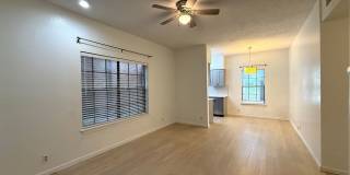 LP1 Research - #208 Gallery 4