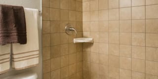 Alafaya Woods Gallery 16