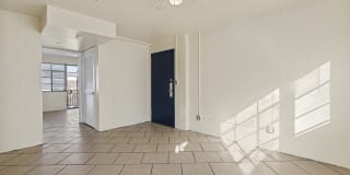 Collins Terrace Gallery 6