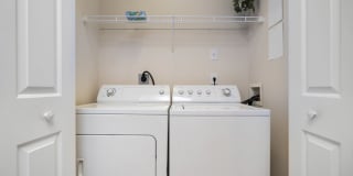 The Orchard Gallery 19