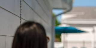 Isla Palmetto Gallery 31