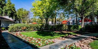 Octave Apartments Gallery 24