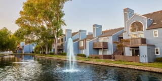 Lantern Cove Gallery 2