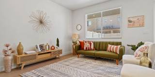 VALO at Desert Haven Gallery 2