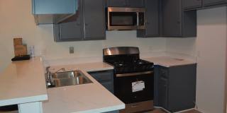 10943 Laurel Canyon Blvd Unit A12 Gallery 1