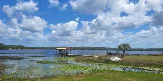 Little Lake Weir Waterfront FENCED 3BR/2BA on 6 Acres with Horse Barn, Private Boat Ramp & Dock Gallery 1