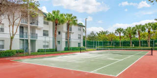 Palm Trace Landings Gallery 7
