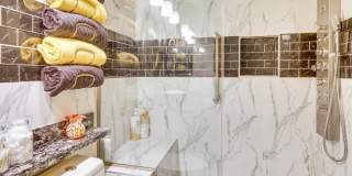 474 Evergreen Ash Gallery 15