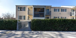 The Palmer Gallery 20