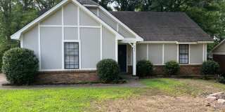 Renovated 3 Bedroom 2 Bath Home for Rent!! Gallery 1
