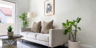 Element at Tempe North Gallery 8