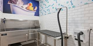 322 Baldwin Gallery 22