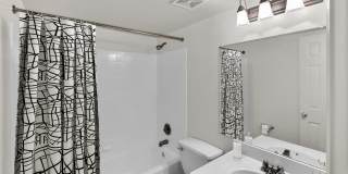 Geno Baroni Gallery 3