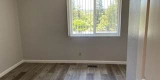-Spacious 4 Bed 2.5 Bath, House, with Hew Hardwood Floors throughout - Gallery 13