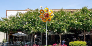 Legacy at Livermore Gallery 47