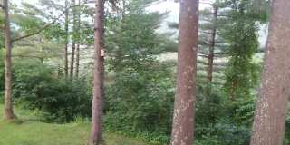 977 Daniel Webster Highway Gallery 1