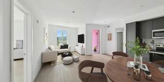 2535 Alsace Gallery 21