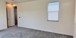 Incredible 4 Bed 3 Bath Home In Sage Estates!!! Gallery 23