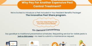 Cute 3 Bed/2 Bath SW Bakersfield Home w/ Solar, RBP & $0 Deposit Option Gallery 21