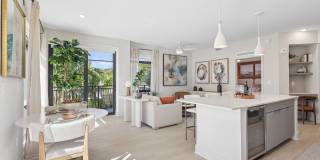 Alexan Delray Gallery 1