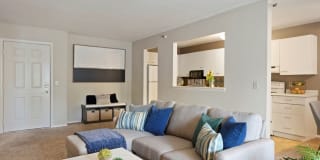 SpringBrook Gallery 3