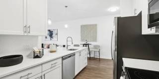 Douglas Grand at Telecom Parkway Gallery 12