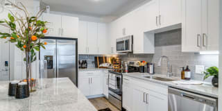 The Everly Gallery 22