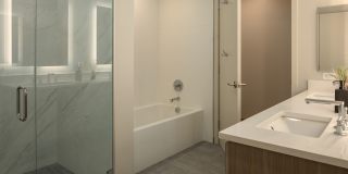 The Merian Gallery 67