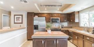 27350 Melanita Gallery 11