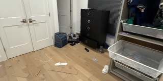 Tess Gallery 29