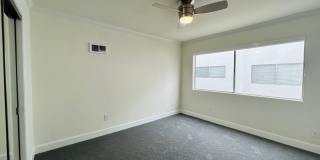vet182 Gallery 10