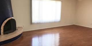 7800 N Nicole Place Gallery 12