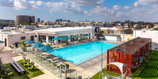 Fusion Fusion Gallery 1