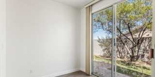 2520 Bottle Palm Court Gallery 17
