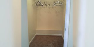 The Trace at 161 Gallery 21