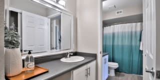 The Harlow Gallery 19