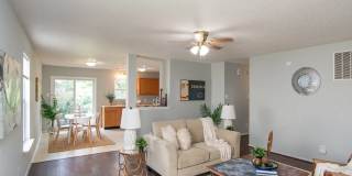 3017 Everbloom Way Gallery 7